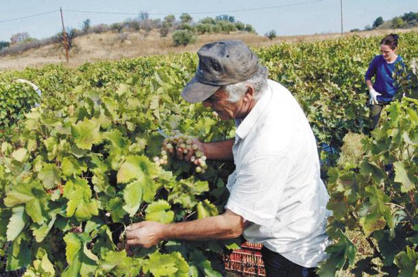 ΚΑΠ: Νέο χρηματοδοτικό πλαίσιο – Τι αλλάζει στον αγροτικό χώρο μετά το 2028