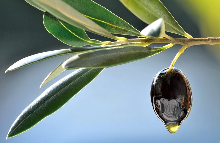 Ελαιόλαδο: Με γραπτές συμβάσεις στο εξής η έκθλιψη, αποθήκευση και διάθεση από τα ελαιουργεία!