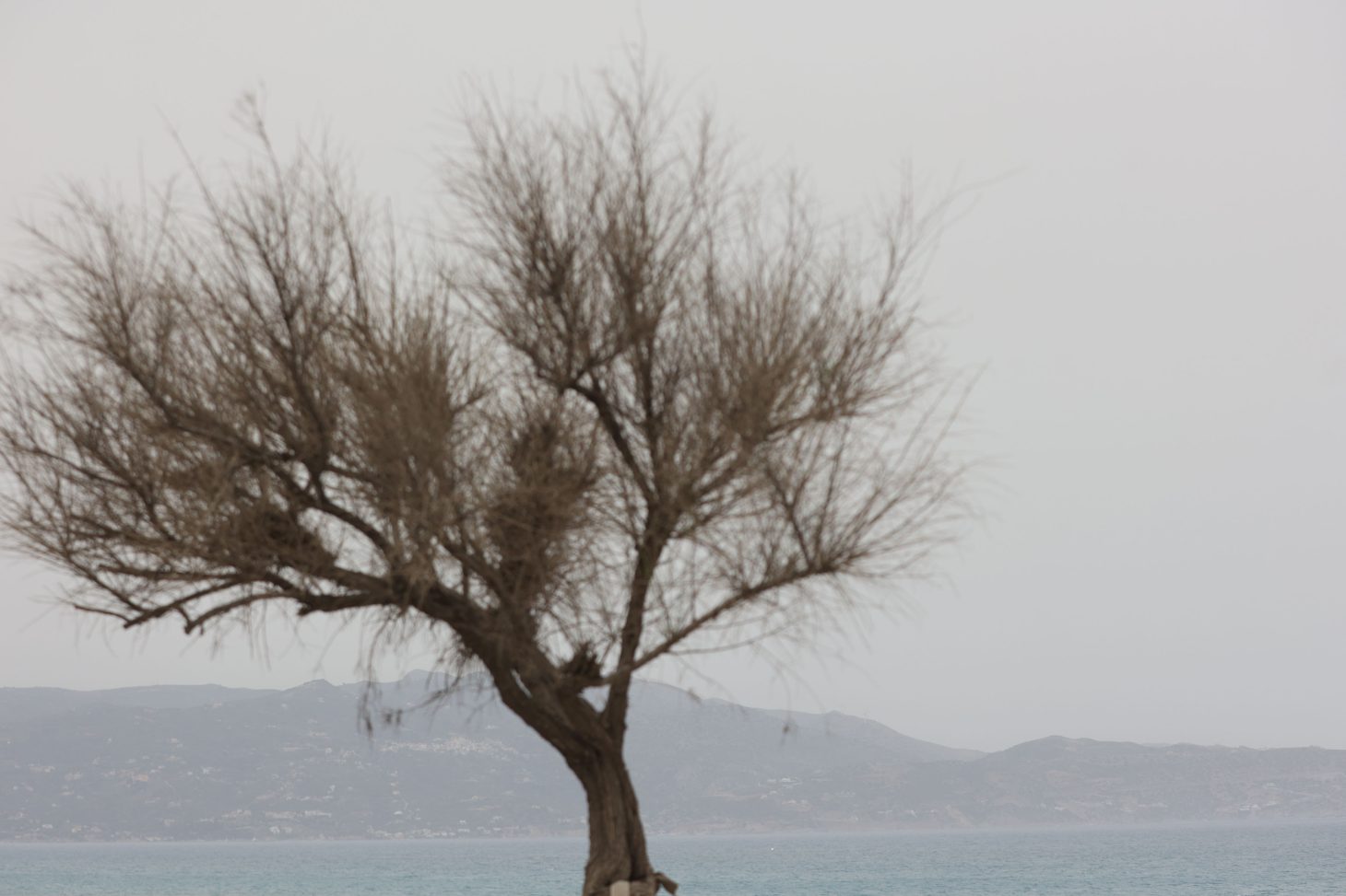 Μεταφορά σκόνης από τη Σαχάρα – Μέτρια τα επίπεδα συγκέντρωσης ΑΣ10 στη Κρήτη