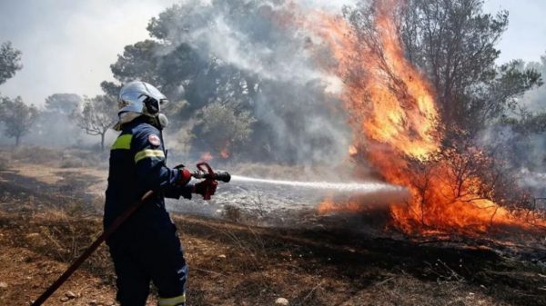 Άνω Σούλι Μαραθώνα: Μεγάλη φωτιά σε εξέλιξη – Μήνυμα του 112, «απομακρυνθείτε προς Γραμματικό και Νέα Μάκρη»