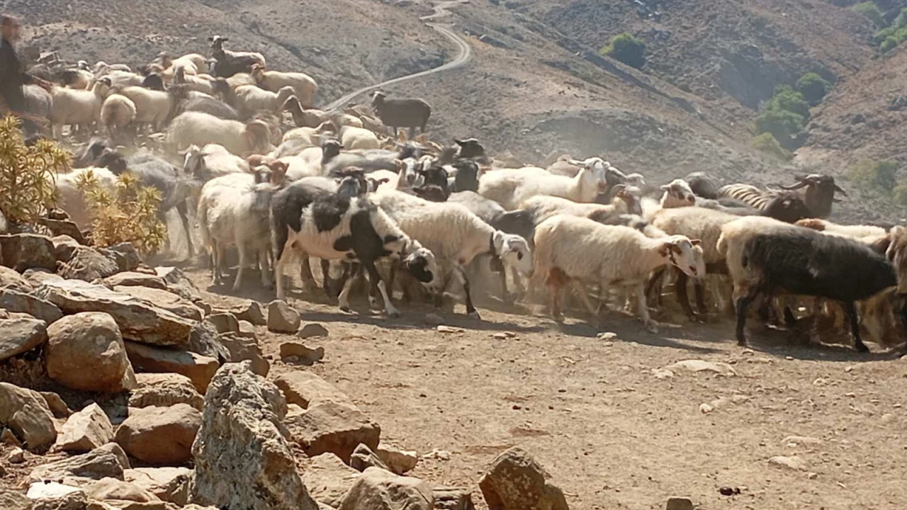 ΟΠΕΚΕΠΕ: Βούτηξαν το δάχτυλο στο «μέλι» και φεύγουν – Μαζικές ανακλήσεις αιτήσεων υπό τον φόβο ελέγχων