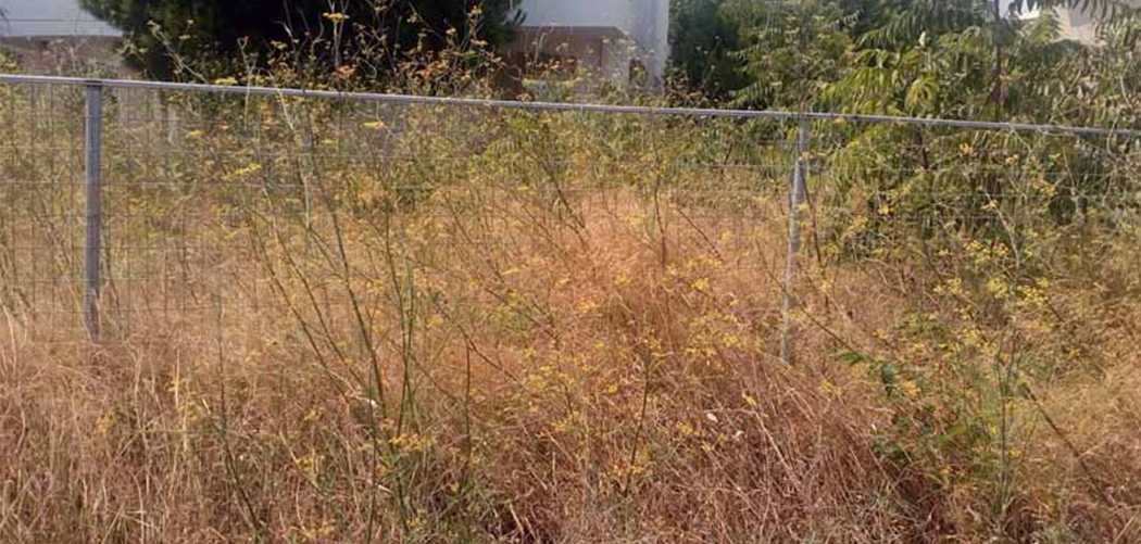 Το ακαθάριστο μυαλό μας και… ο Θεός βοηθός!