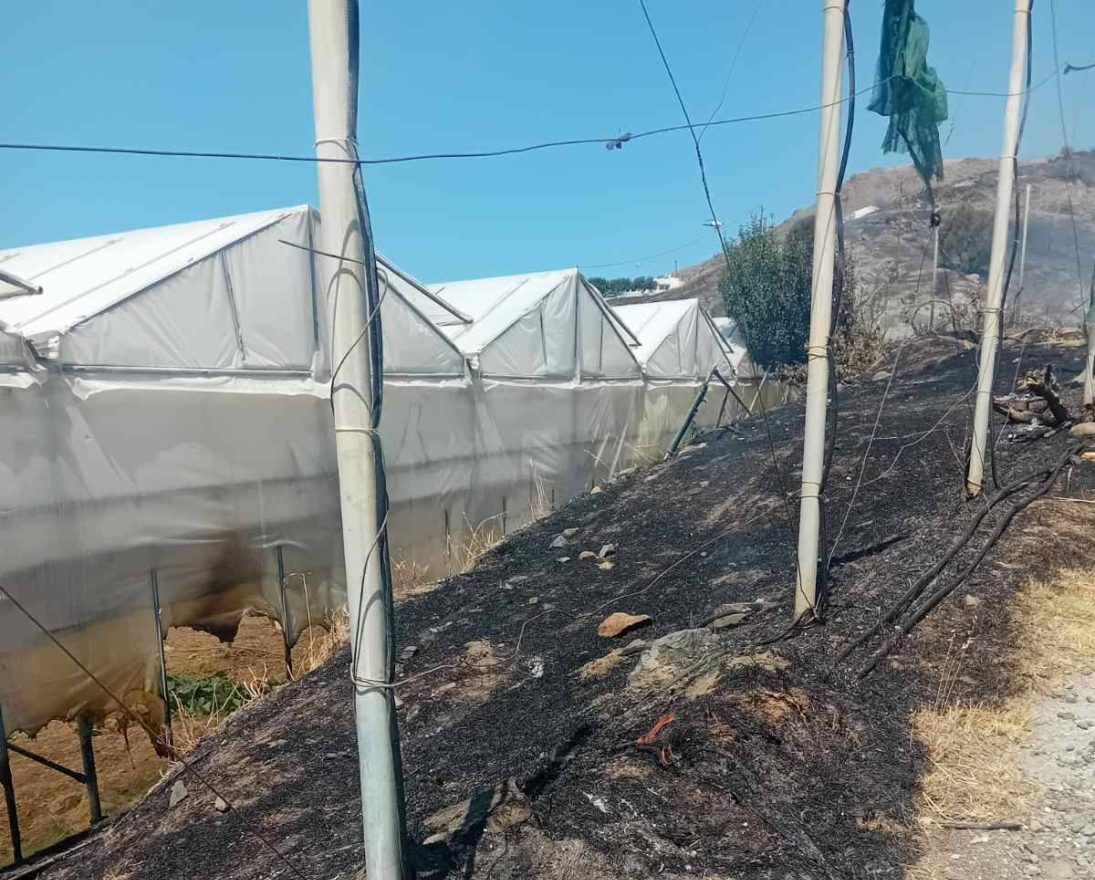 Γ. Τσαπάκος: Απείλησε σπίτια η φωτιά στον Τσίγκουνα και υπέστη ζημιές θερμοκήπιο – Δεύτερο μέτωπο στο Τυμπάκι (photos)