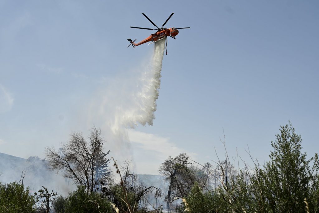 Λασίθι: Μεγάλη επιχείρηση της Πυροσβεστικής για φωτιά στην Κάτω Κρυά – Σηκώθηκαν δύο ελικόπτερα