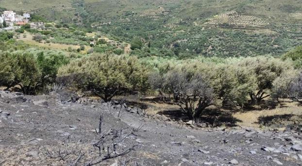 Λασίθι: Οριοθετήθηκε η φωτιά στην Κάτω Κρυά – Πώς ξεκίνησε