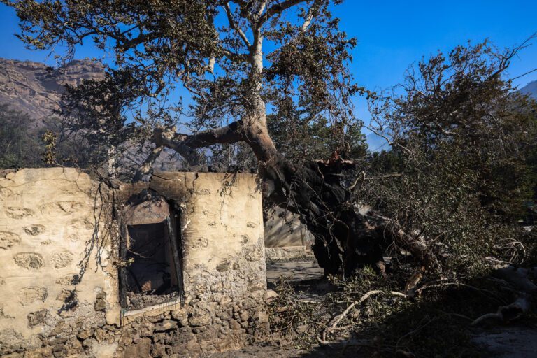 Μετρά τις πληγές της η Ιεράπετρα: «Στάχτη» χιλιάδες στρέμματα – Επί ποδός ισχυρές δυνάμεις υπό τον φόβο αναζωπυρώσεων