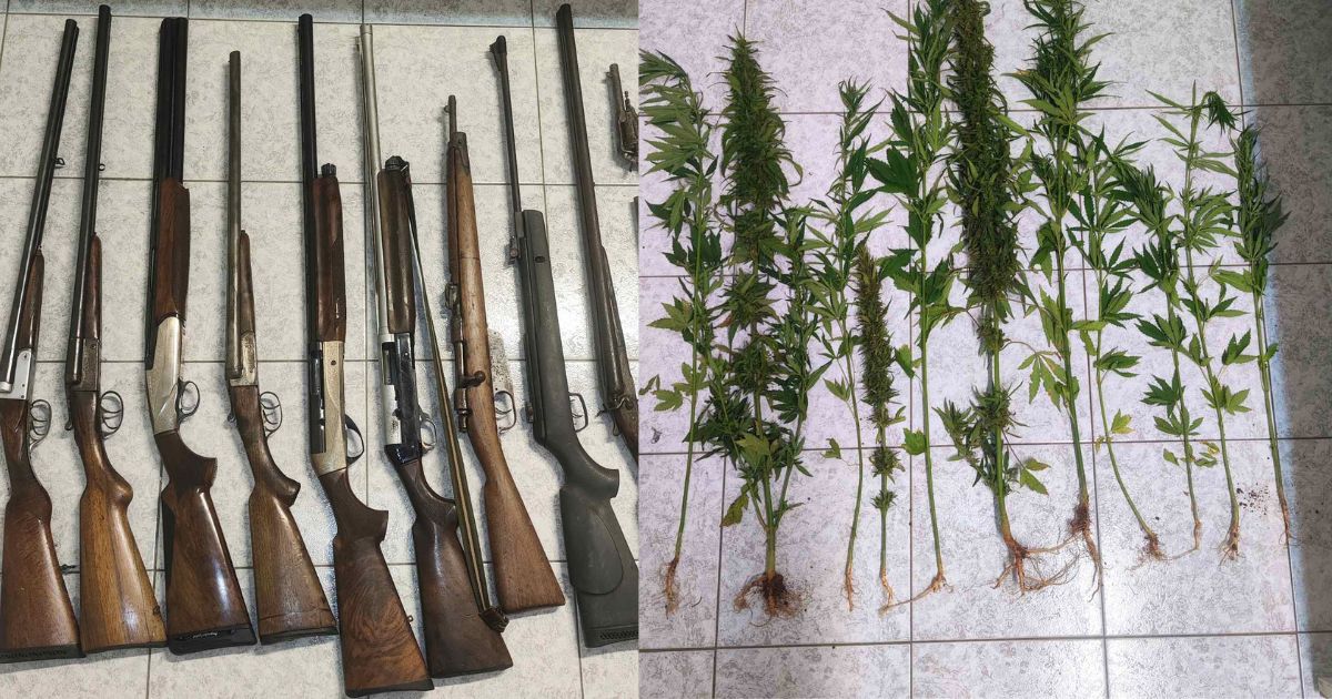 Συνελήφθη 58χρονος στο Λασίθι με όπλα και κάνναβη σε σπίτι και χωράφι