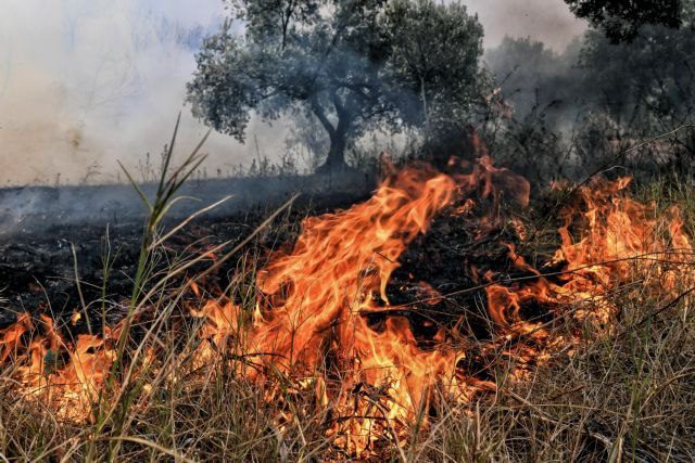 Ηράκλειο: Σύλληψη ημεδαπού για εμπρησμό