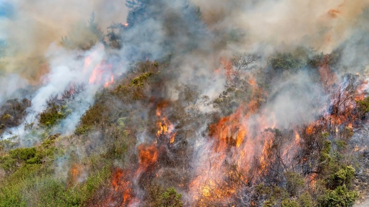 Χανιά: Συνελήφθη 45χρονη για εμπρησμό από πρόθεση στις Μουρνιές – Ομολόγησε ότι έβαλε φωτιά για να κάψει προσωπικά αντικείμενα