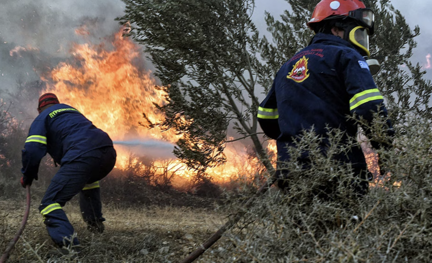 Φωτιά στην Παραμυθιά Θεσπρωτίας – Μήνυμα του 112 για εκκένωση του Γαλατά