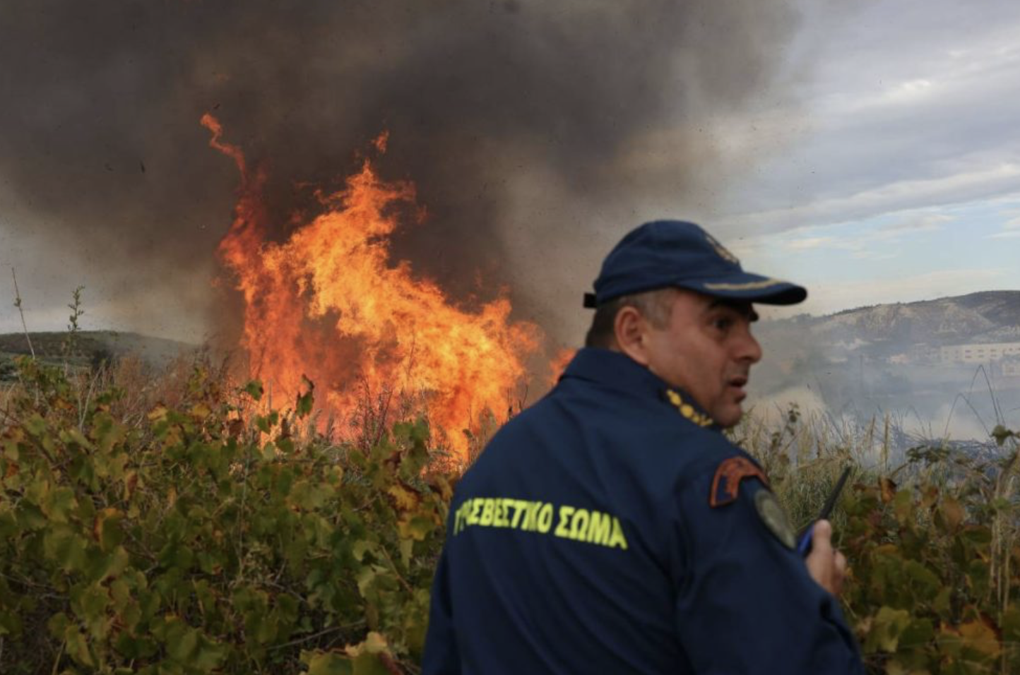 Φωτιά στη Σητεία: Τραυματίστηκε πυροσβέστης κατά την επιχείρηση κατάσβεσης – Με εγκαύματα στο νοσοκομείο