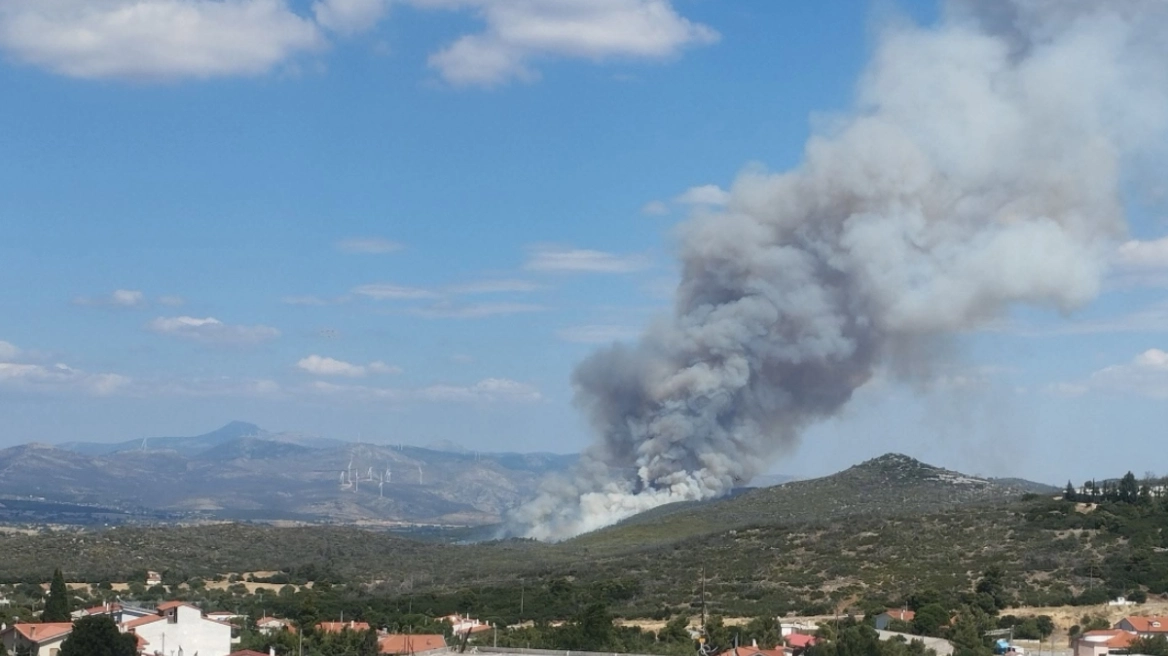 Μεγάλη φωτιά στην Οινόη του Δήμου Μάνδρας: Στάλθηκε 112, επιχειρούν 155 πυροσβέστες και 22 εναέρια μέσα