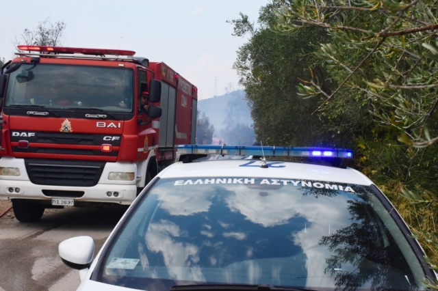 Ηράκλειο – Βιάννος: Επιχείρηση εντοπισμού 70χρονης