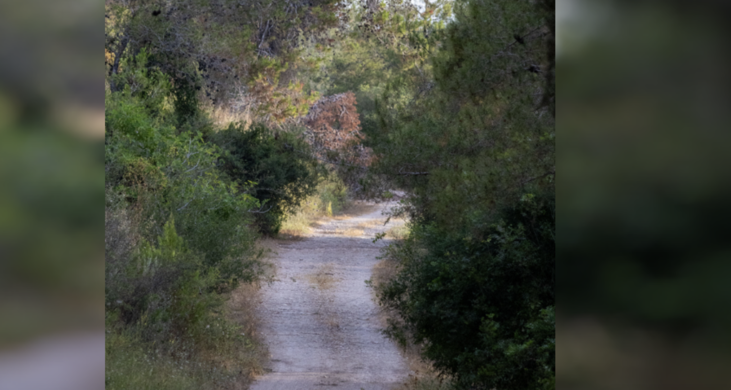 Φαλάσαρνα: Χωρίς τις αισθήσεις της παραδόθηκε στο ΕΚΑΒ 41χρονη τουρίστρια