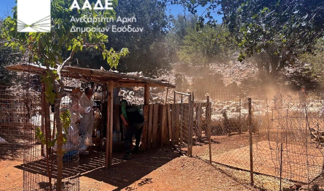 Επιχείρηση της ΑΑΔΕ στον Μυλοπόταμο για τις αγροτικές επιδοτήσεις