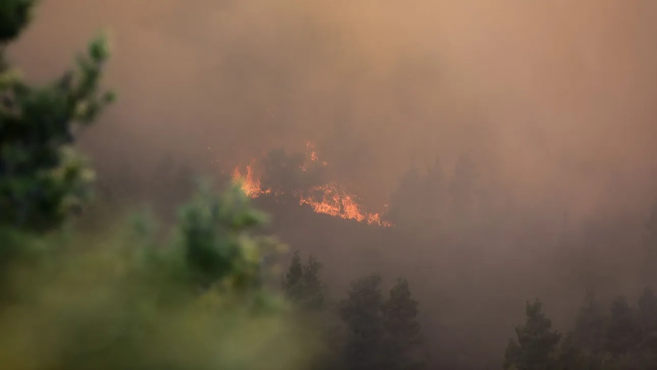 Φωτιά στη Χαλκιδική, καμένα σπίτια στη Σίβηρη – Εκκένωση διά θαλάσσης